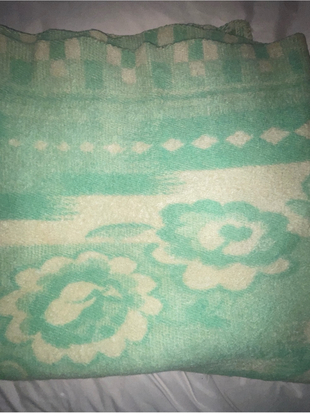 Vintage 1950’s 100% Wool Green and Cream Reversible Blanket